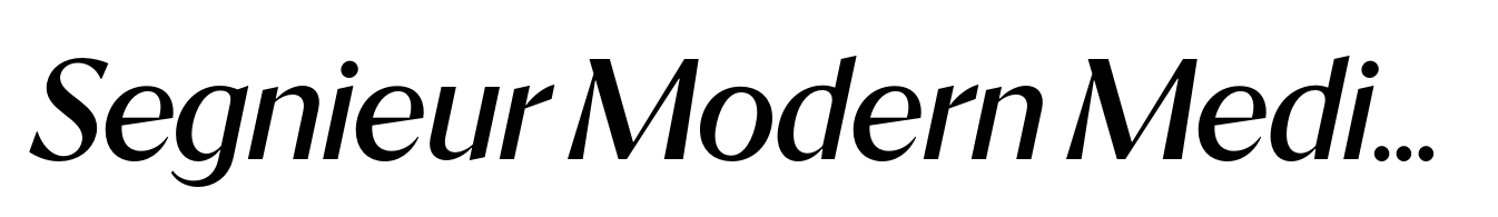 Segnieur Modern Medium Italic